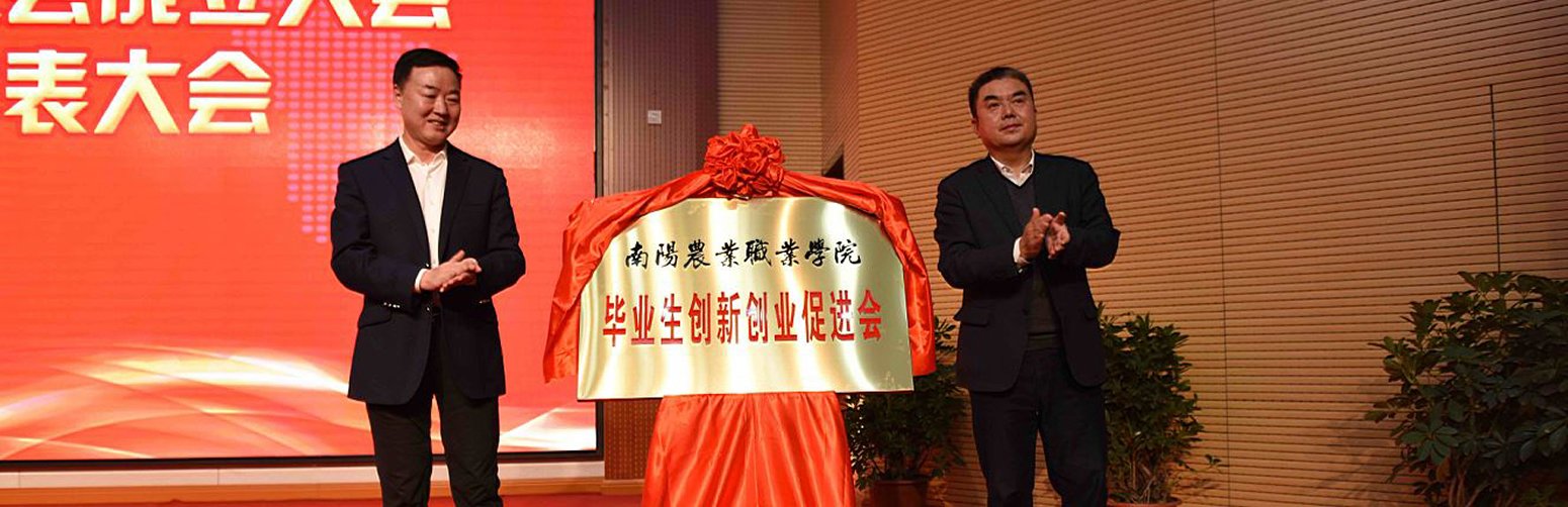公开信息按发布时间滚动