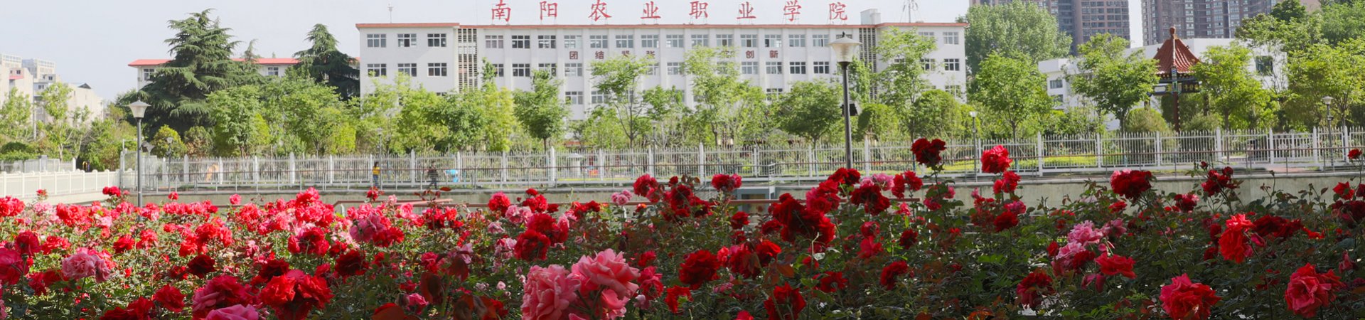 澳门京葡娱乐APP最新优惠成功举办2