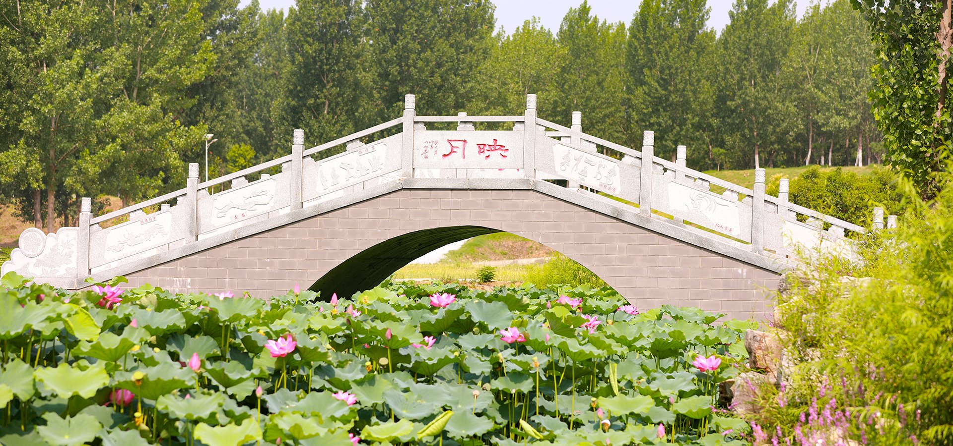 澳门京葡娱乐网下载2026年党员发展